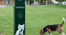 Stire din Social : Ce amenzi riscă deținătorii animalelor de companie din Constanța dacă nu respectă legile