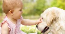 Stire din Sănătate : Animalele de companie ajută la dezvoltarea emoțională a bebelușilor