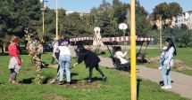 Stire din Politică-Administrație : A noua ediție a campaniei "Curățăm Constanța Noastră", la final