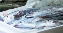 Stire din Social : ANPC, amenzi de peste 1 milion de lei date în sectorul de comercializare a peștelui