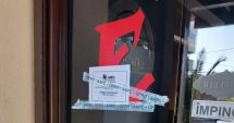 Stire din Social : Comisarii de la Protecția Consumatorilor au închis un restaurant din Năvodari, infestat cu gândaci