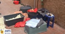 Stire din Social : Noi controale ANPC pe litoral. Au fost date amenzi în valoare de 732.000 lei