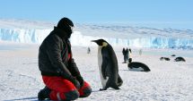 Stire din Cultură-Educație : Universitatea "Ovidius" a celebrat Ziua Internațională a Antarcticii