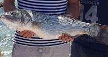 Apel la pescari să anunţe când prind specii de peşti neobişnuiţi în Marea Neagră