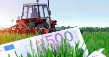 Stire din Economie : APIA a autorizat plata a 8.953 de cereri pentru fermierii constănțeni