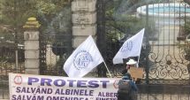 Stire din Economie : Apicultorii au protestat în faţa Ministerului Agriculturii şi a Parlamentului