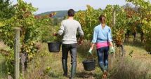 Stire din Economie : Aproape 2.000 de proiecte în agricultură au fost finanţate din fonduri europene