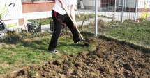 Stire din Economie : Aproape 40% din veniturile gospodăriilor rurale provin din producția agricolă proprie