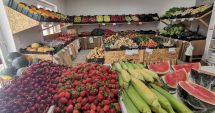Stire din Eveniment : Bărbat şi femeie, "specialişti" în recrutat sclavi pentru aprozarul lor. Ce au făcut când prima victimă a murit