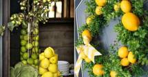 Stire din Diverse : Arome ecologice pentru casa ta