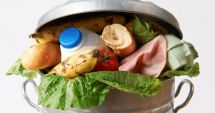 Stire din Economie : Astăzi este Ziua internațională a conștientizării asupra risipei și deșeurilor alimentare