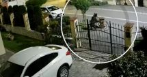 Stire din Eveniment : Șeful Salvamont din Predeal atacat de urs pe stradă