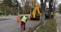 Stire din Social : Lucrări de reabilitare, nu parcați pe bulevardul Tomis!