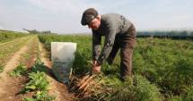 Stire din Economie : Atenție fermieri! A început campania de a cererilor unice de plată