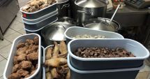 Stire din Social : Atenție unde mâncați pe litoral! Restaurantele și terasele, verificate de inspectorii sanitar-veterinari
