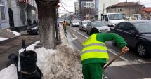 Stire din Social : Atenție, unde vă lăsați mașinile! Primăria face apel către constănțeni