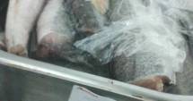 Stire din Social : AUCHAN-ul din Maritimo a băgat 18 persoane în spital / IATĂ CE AU GĂSIT INSPECTORII OPC în raionul de Gastronomie