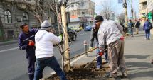 Stire din Eveniment : Au început plantările de primăvară!