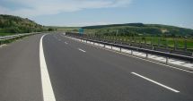Stire din Eveniment : Un șofer va primi despăgubiri de la statul român, după ce a lovit un câine pe autostradă