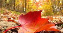 Stire din Social : Toamnă cu temperaturi record! Când revin ploile, furtunile și gradele puține