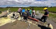 Stire din Actualitate : Avion prăbuşit, niciun pasager nu a supravieţuit. Primele imagini de la locul tragediei