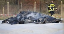 Stire din Actualitate : Avion prăbușit în Germania! Niciun supraviețuitor