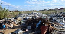 Stire din Social : TDS! Teren cu destinație specială: gunoaie, mizerii și bălării cât casa. Nu ratați ediția de mâine a ziarului nostru!