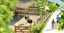 Stire din Social : S-a redeschis Baby Zoo, proiectul pentru copii, de la Microrezervația Constanța