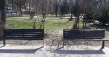 Stire din Social : Galerie foto. Bănci și coșuri de gunoi noi, în municipiul Constanța