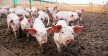 Stire din Economie : Fermierii vor primi bani în plus. Anunțul făcut de ministrul Agriculturii