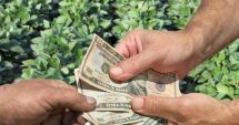 Stire din Economie : Bani mai mulți pentru fermierii români
