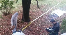 Stire din Eveniment : DRAMĂ PENTRU O MAMĂ! Și-a găsit copilul MORT ȘI CARBONIZAT, în spatele casei