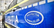 Stire din Eveniment : Un bărbat suspectat de zoofilie a fost arestat. Animalul a fost luat de autorități