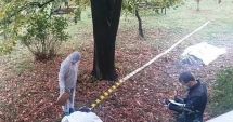 Stire din Eveniment : DESCOPERIRE MACABRĂ! Tânăr găsit mort, cu capul zdrobit și dezbrăcat