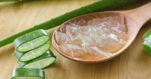 Stire din Sănătate : Aloe vera, de mare ajutor în tratarea bășicilor