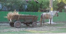 Stire din Eveniment : Bebeluș de numai o lună, găsit fără suflare în căruța părinților săi