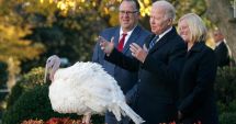 Stire din Actualitate : Preşedintele Joe Biden a graţiat doi curcani înainte de Ziua Recunoştinţei