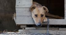 Stire din Social : Amendă uriașă dacă stai la casă și faci asta! Ce este interzis să faci