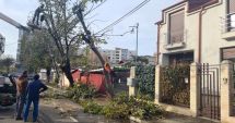 Primăria Constanța: Bilanțul celor două zile cu vânt puternic: copaci doborâți, stălpi căzuți și mașini distruse