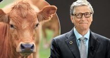 Stire din Actualitate : Bill Gates susține că vom mânca mai multă „carne falsă” în viitor: „Totul se reduce la bani”
