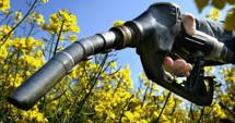 Stire din Economie : Biocarburanții din gunoaie și alge vor lua locul celor din plante