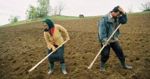 Stire din Economie : Birocrația pentru micii fermieri se reduce