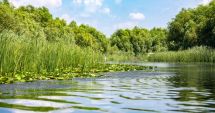 Stire din Actualitate : Excepţii de la interzicerea folosirii năvoadelor şi a setcilor în Deltă, pe fondul nivelului scăzut al Dunării