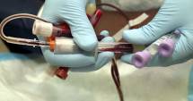 Stire din Sănătate : Bolnavi cu HIV, din nou în pericol să rămână fără tratament