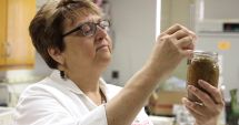 Stire din Sănătate : Factorii de risc ai botulismului