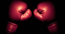 Stire din Sport : Box feminin: Două pugiliste românce, calificate în sferturi la CM 2014-11-21
