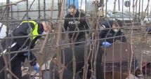 Stire din Eveniment : Egipteanul reținut în cazul crimei de la Bragadiru a fost arestat