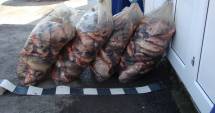 Stire din Eveniment : Braconajul piscicol, în floare