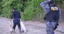 Stire din Eveniment : Braconierii de pe lacul Siutghiol,  în vizorul polițiștilor