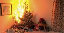 Stire din Eveniment : Familie salvată de cățel, după ce bradul de Crăciun a luat foc în sufragerie